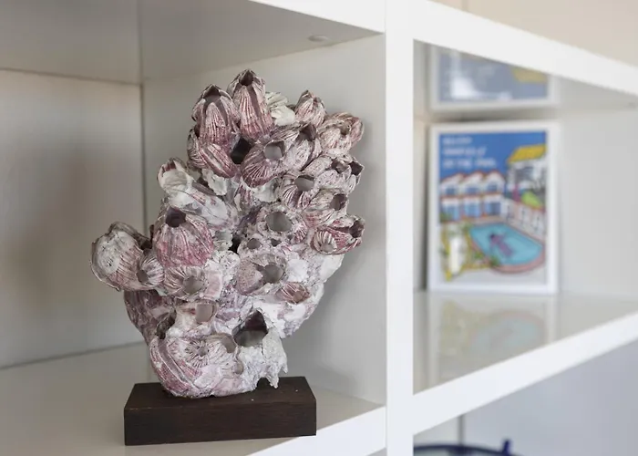 Apartamento Fregates - Vue Exceptionelle Au 12eme Etage La Chaume